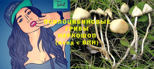 прущий лед Алексеевка