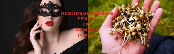 прущий лед Алексеевка